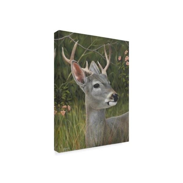 Luis Aguirre 'Elegant Deer' Canvas Art,35x47